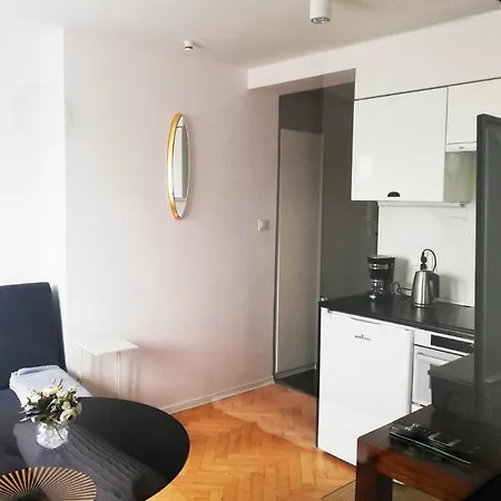 Apartament-studio U Stańczyka- Przy Parku Centralnym *